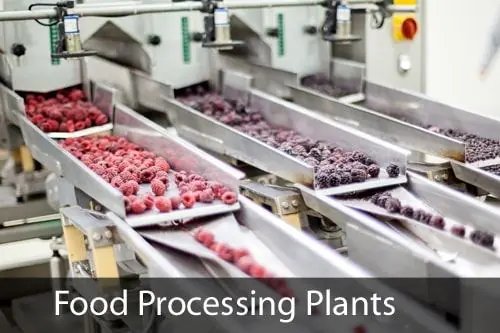 Pest Control for Food Processing Plants Pest Control for Food Processing Plants