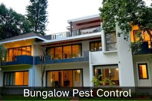 Pest Control for Bungalow Pest Control for Bungalow