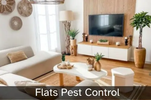 Pest Control for Flats Pest Control for Flats, Rooms