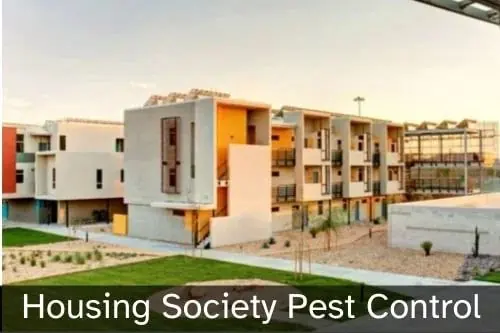 Pest Control for Housing Society Pest Control for Housing Society