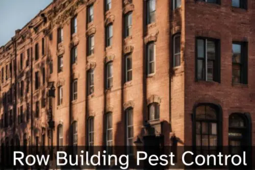 Pest Control for Row Building Pest Control for Row Building